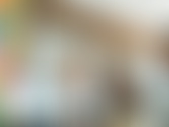 Could government-backed financing help your business expand?