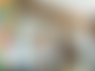 Could government-backed financing help your business expand?