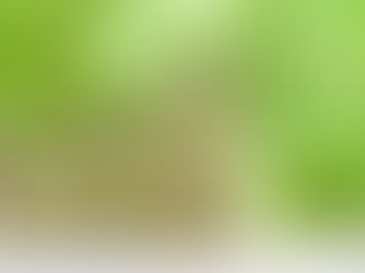 Extend inheritance tax payment deadline to 12 months, says Lords