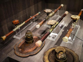 23. Maison de l'opium, tout sur le pavot