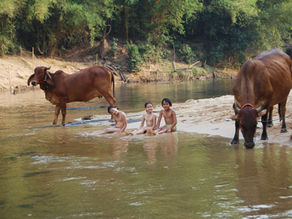 16. Fang, région montagnarde des Lahu
