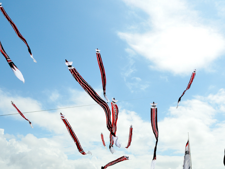 Kites in the sky