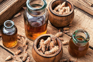 Pine kidneys in folk medicine.jpg