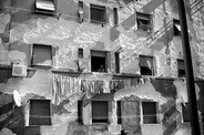 015img_1209.jpeg