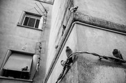 003img_0326.jpeg