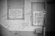 012img_0453.jpeg
