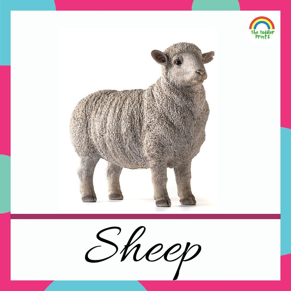 Farm Animals Flashcards