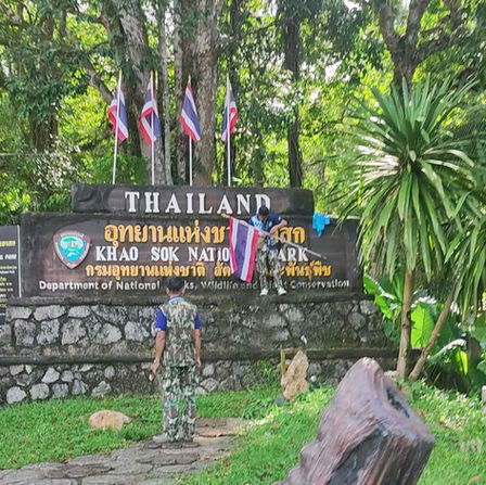 Into the Wild: A Trek at Khao Sok National Park