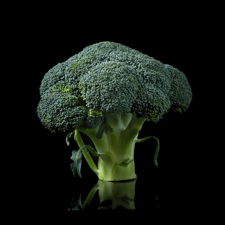 10 Healthy Broccoli Recipes That Prove: This Veggie Is Far From Boring