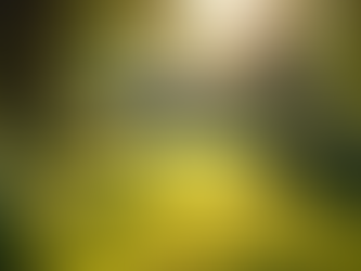 Enhance Your Spiritual Connection with Guided Visualizations