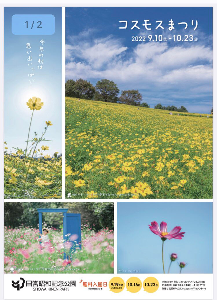 2022.10.1秋のお花企画