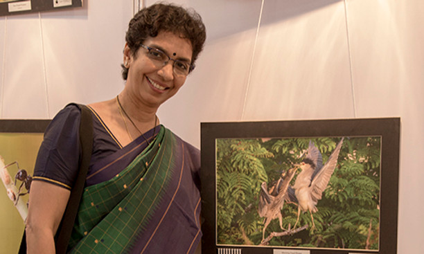 Eye Of Madras 2018.jpg