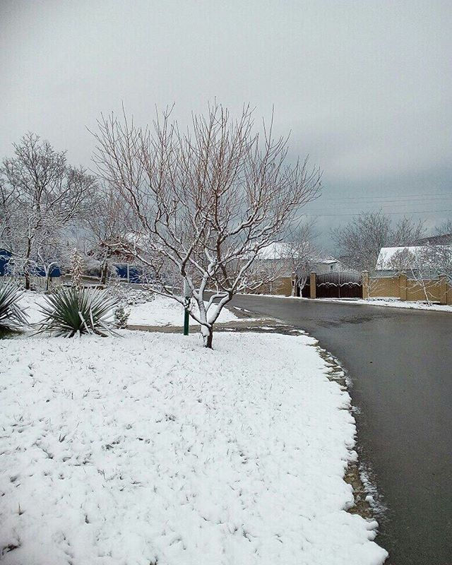 #winter#morning #varvarovka#anapa