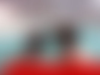 Conheça tudo sobre vinhos Chilenos