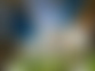 CONHEÇA O SIGNIFICADO DAS CORES DOS CAPACETES NA CONSTRUÇÃO CIVIL