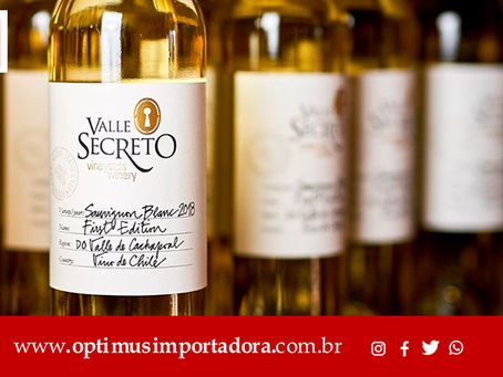 Conheça o processo da uva ao vinho branco