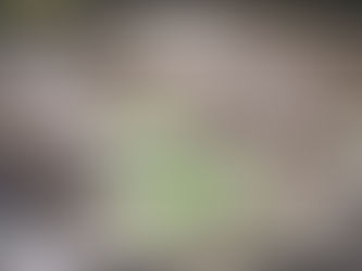 Posso instalar uma barra antipânico na minha porta atual?
