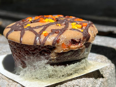 Temptation Never Sleeps