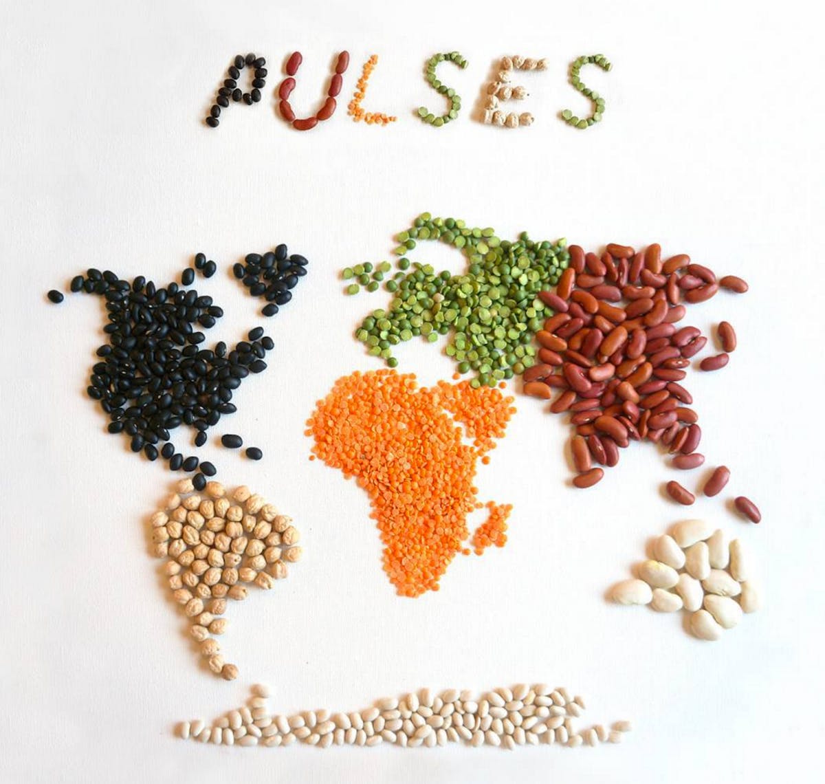 Pulses global import export dubai