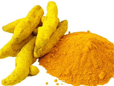 dubai turmeric import export