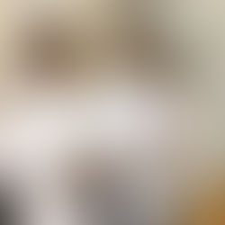 SSP Primary school invitational 2019