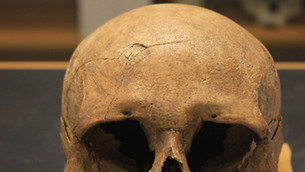 Novo estudo sugere que os noruegueses da Era Viking eram mais violentos que os Dinamarqueses