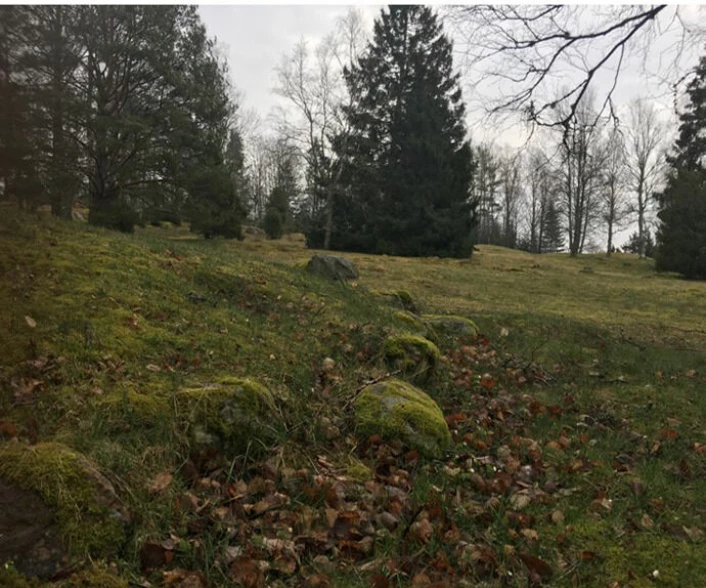 Os túmulos Stubhøj da Era Romana e Store Vikingegrav marcados com pedras no cemitério de Hunn em Østfold. (Imagem: Julie Lub)