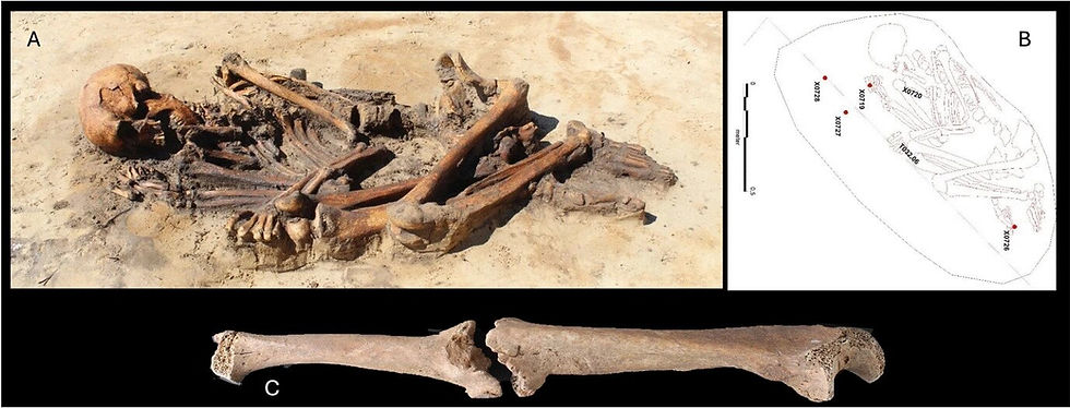 Livros Vikings | Ossos Ocultos no Lar: O Que a Arqueologia Revela Sobre a Violência Viking