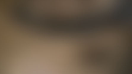 UM MUSEU DE LE MANS, FRANÇA, EXIBIRÁ PRESAS DE MORSA COM RUNAS VIKINGS