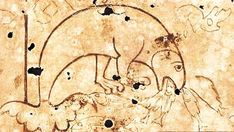 O “monstro” Hafgufa das Sagas Vikings era na verdade uma baleia