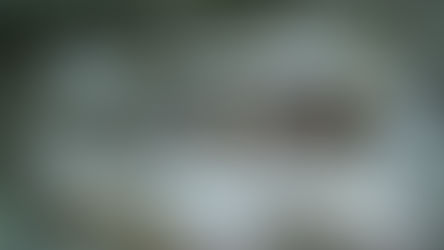 PESQUISA TROUXE NOVAS DESCOBERTAS SOBRE OS VIKINGS E AS SUAS ORIGENS