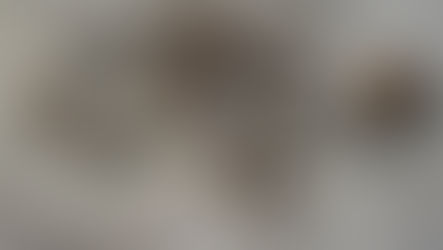 ARQUEÓLOGOS DESCOBREM UM TÚMULO "INCRÍVEL" DA IDADE DO FERRO EM LOFOTEN