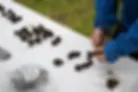 Livros Vikings | Mais de 1300 pregos do Myklebustskipet foram descobertos até agora, sendo 500 apenas nesta semana. — Crédito da Imagem: Håkon Vatnar Olsen / NRK