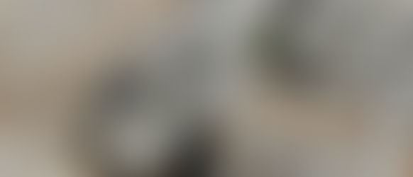 DOS HITITAS AOS VIKINGS: A HISTÓRIA OCULTA DE BATHONEA, TURQUIA 