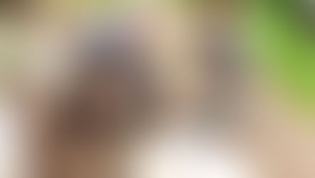 UMA ESPADA VIKING FOI ENCONTRADA ACIDENTALMENTE POR UM CASAL NA NORUEGA