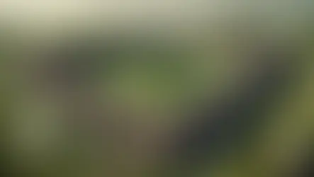 DNA viking em coração polonês: revelações de um cemitério medieval em Lutomiersk