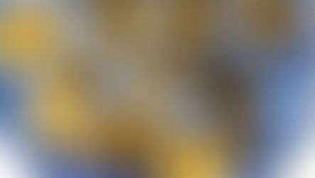Os principais artefatos noruegueses da Era Viking descobertos em 2023