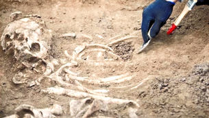 Novo assentamento da Era Viking é descoberto junto de ossos humanos na Estônia