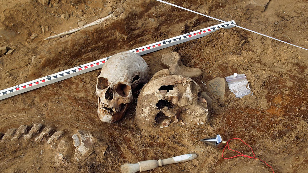 Livros Vikings | Restos humanos datados da Era Viking encontrados em sítio arqueológico. — Crédito da Imagem: Getty Image