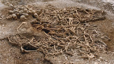 INVESTIGANDO O DNA VIKING