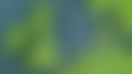 Viking link e seus achados vikings, romanos e anglo-saxões