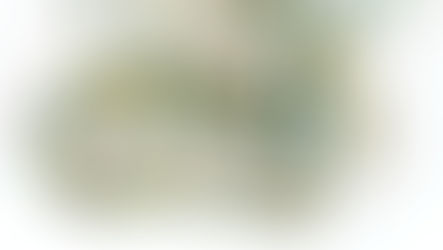 A descoberta de fivelas da Era Viking na Noruega mais que dobrou na última década