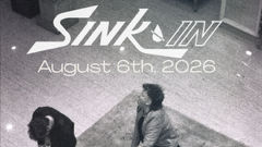 Sink In