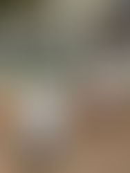 南寿町公園 ちえ先生投稿