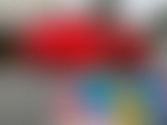 消防署とバイキング🚒🍴