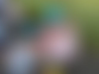 土手まで探検!すみれ先生投稿