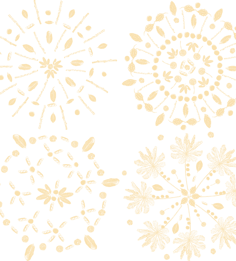 MANDALA ENCONTRO PARABRINCAR_4x.png