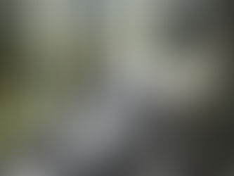 褒められる(たいしたことなくても)