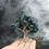 Thumbnail: Chrysocolla and silver wire tree sitting on an upturned hand