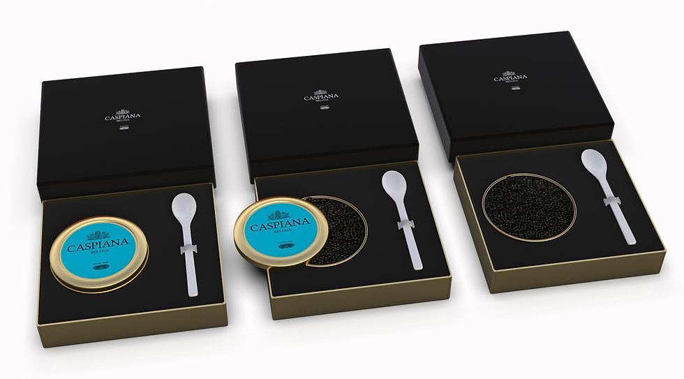 caviar-keyshot-version-caviar-reza-FINAL